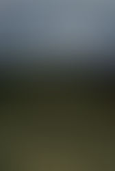 By Nick Armbrister Early Books