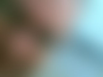 LULU PUBLISHER LINKS NICK ARMBRISTER NEW BOOKS-