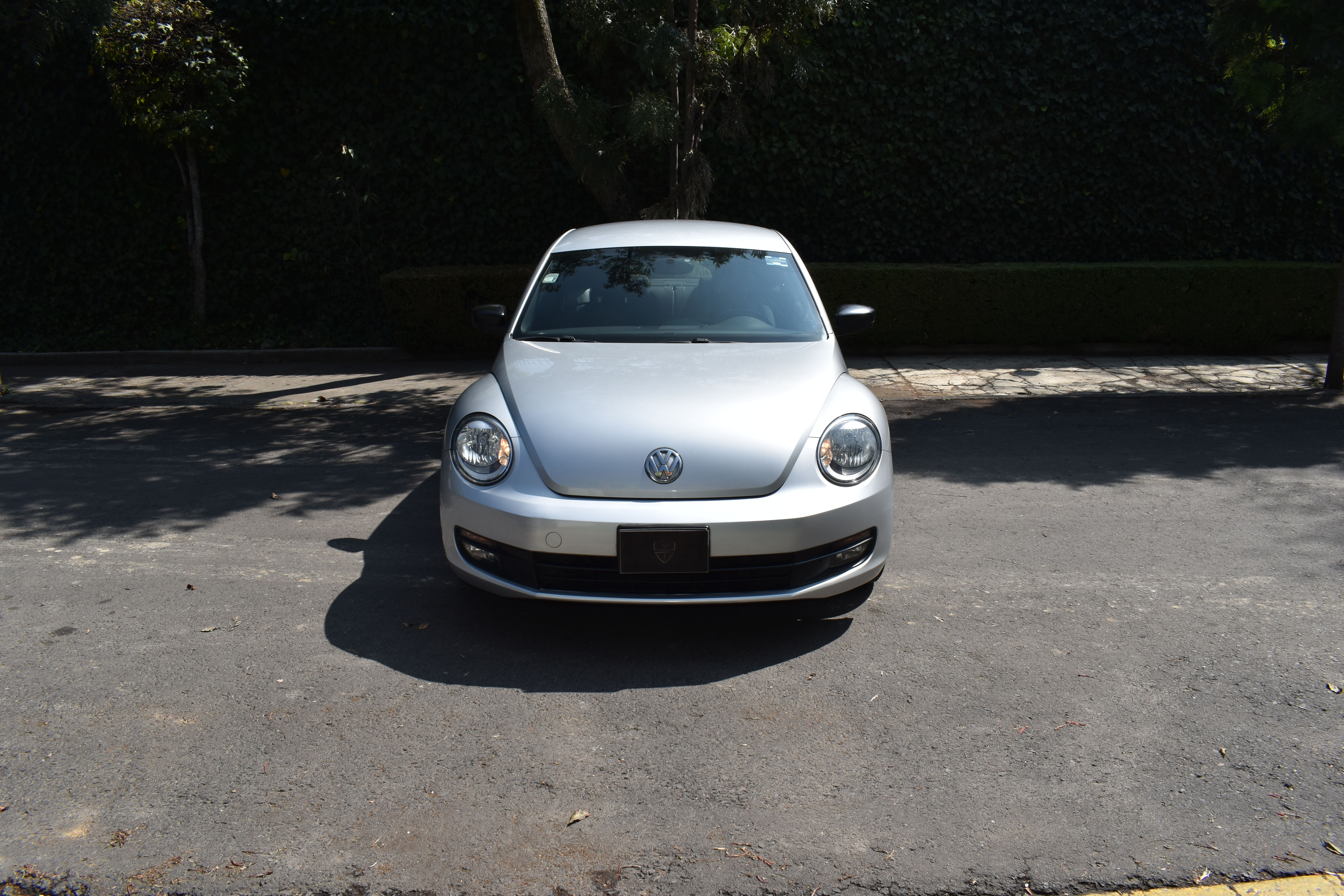 Volkswagen Beetle 2.5