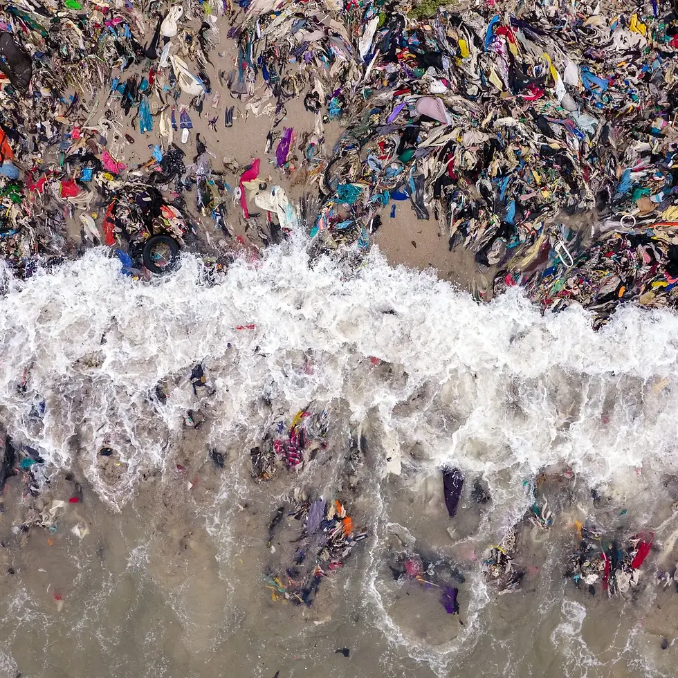 Innovative And Sustainable Apparel Business Models: Breaking Free From Fast Fashion