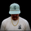 Thumbnail: Teal Big Oak logo SnapBack