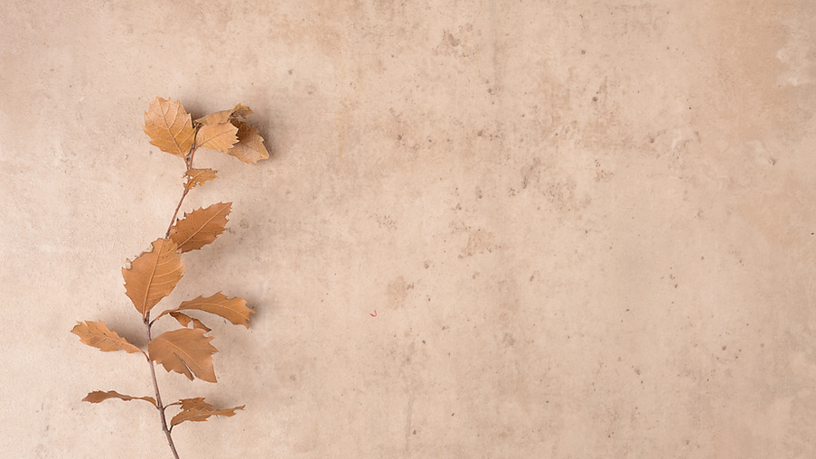 Green Simple Photography A Collection of Quotes Blog Banner (3).png