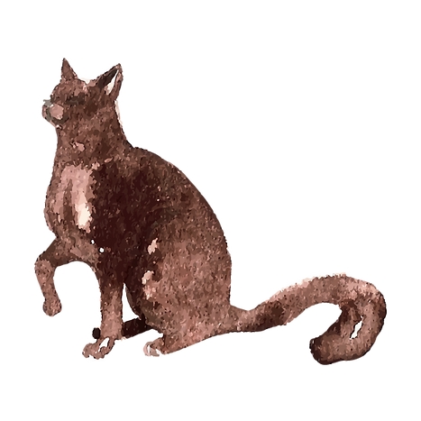 Watercolor Cat  4