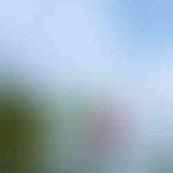 Flag of Italy photographed by Acela ' Ace ' Kandola
