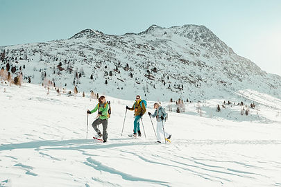 Golden Star Content Image 64 ©Nationalpark-Hohe-Tauern-Mathäus-Gartner.jpg