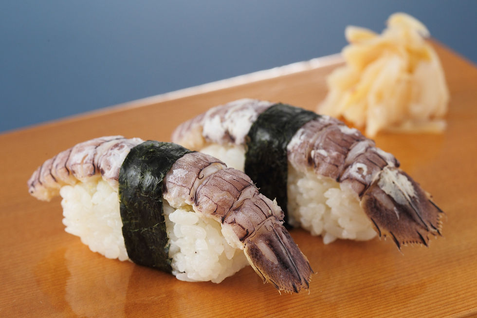 シャコ4Lサイズ