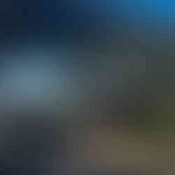 Beautiful grounds at Camp Lucy