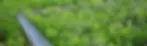_image.webp