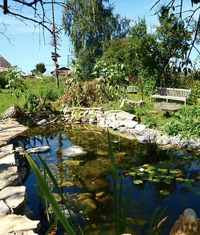 Natureich mit Steinen und grüner Landschaft, entspannte sommerliche Atmosphäre.