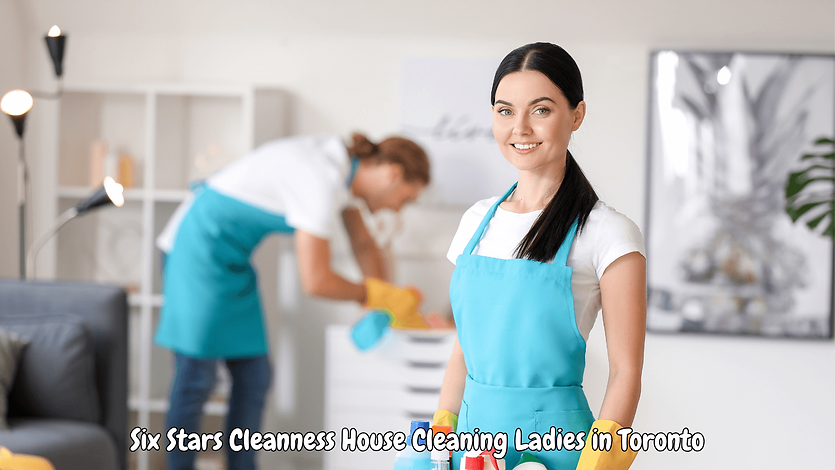 Maid Cleaning Home