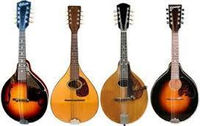 Amazing Mandolins!