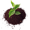 png-transparent-green-leaves-in-soil-soil-agriculture-fertilisers-pesticide-organic-farmin