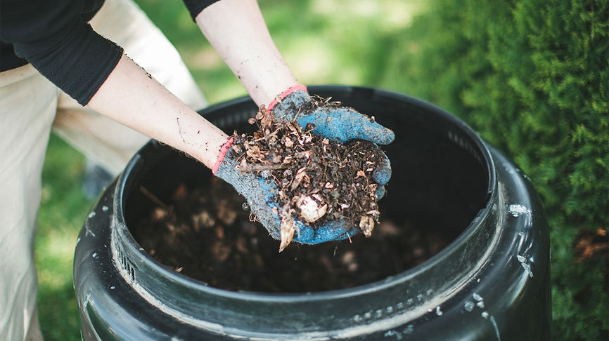 compost-food-waste-1296x728-header.jpg