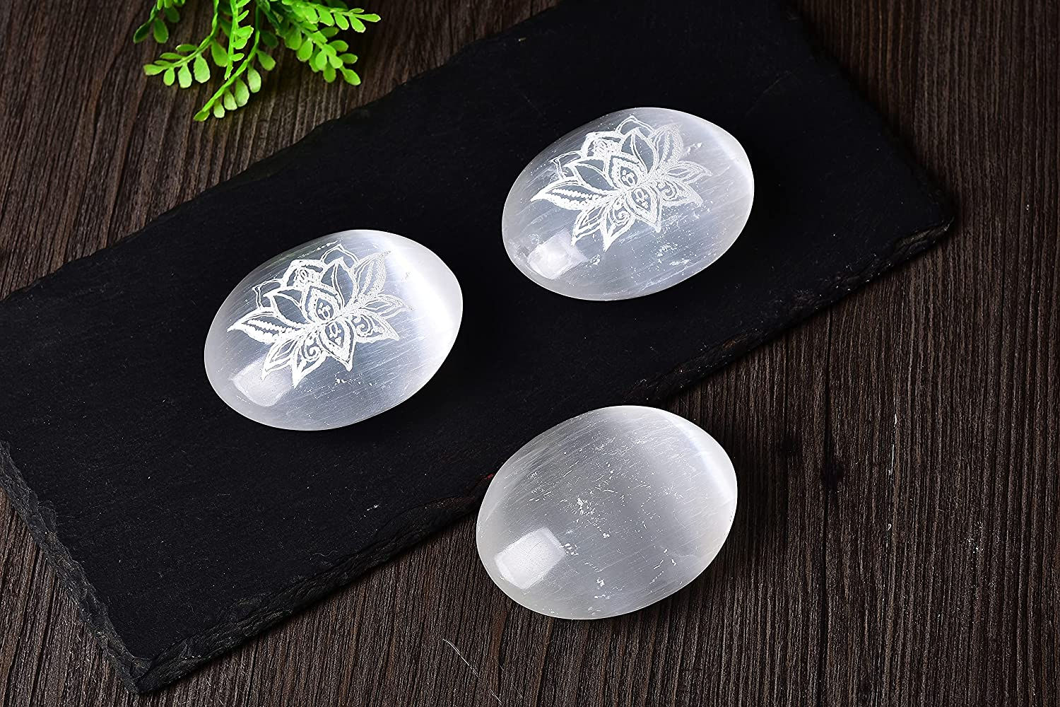 Salenite Carved lotus Healing Pocket Stone