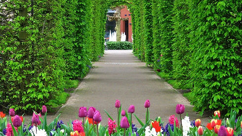 Garden-Hd-Wallpaper-Download-Beautiful-Flowers-Images-Hd-.jpg