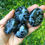 Thumbnail: Indigo Gabbro