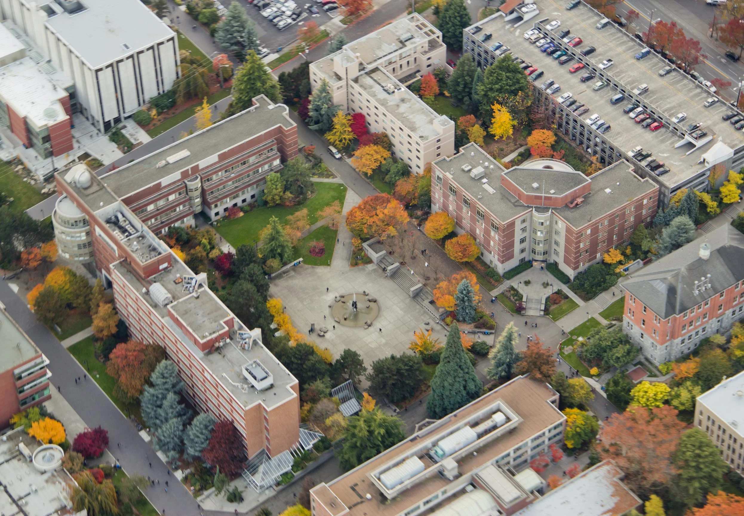 Top B Schools