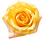 88641664_xl_edited.png