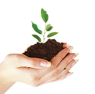organic-food-organic-fertilizer-fertilisers-manure-organic-cotton-others-removebg-preview.