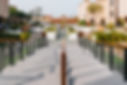 DSC07655.jpg