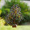 Thumbnail: Lapis Lazuli Crystal Tree