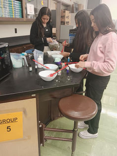 Nemas Gardens STREAM Team Program