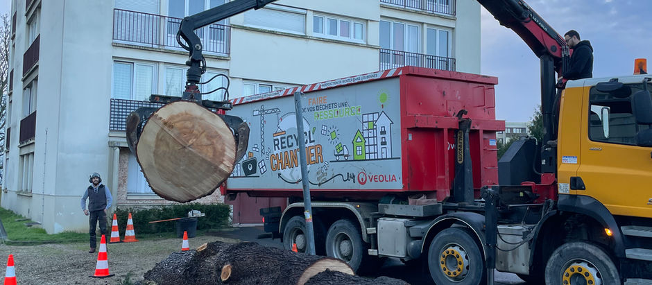 Démontage d'un Cèdre de l'Himalaya à Villiers-le-Bel