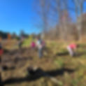 Volunteers planting trees