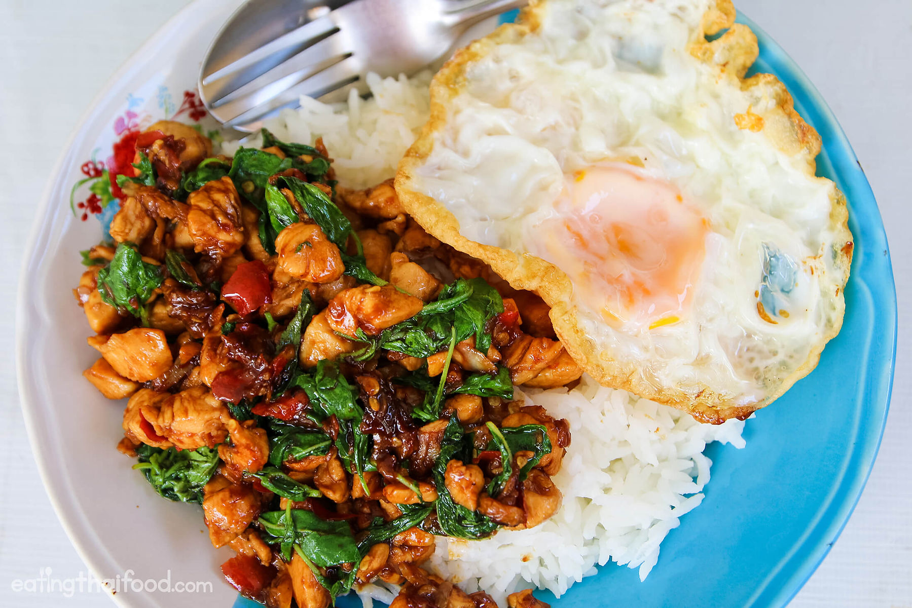 Special Rice Plates