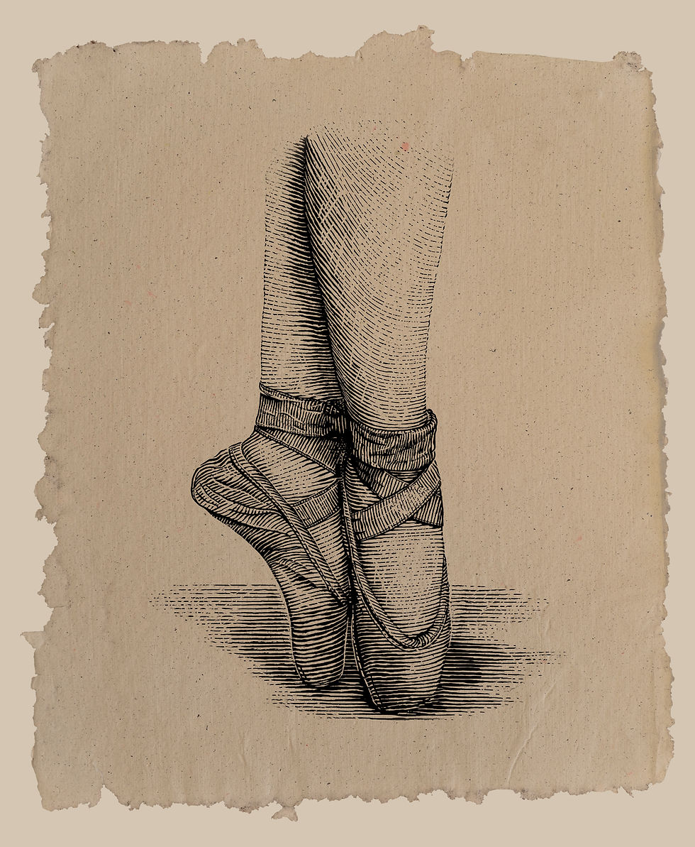 ILUSTRACIÓN
