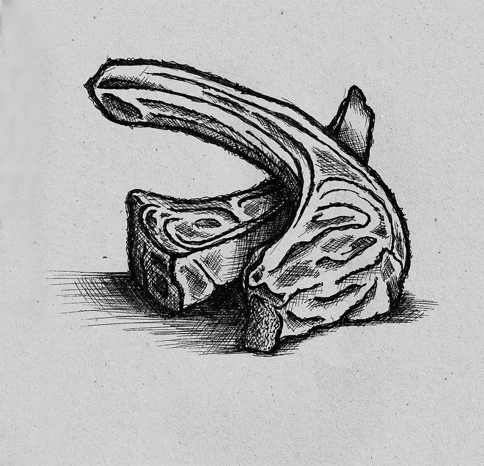 ILUSTRACIÓN