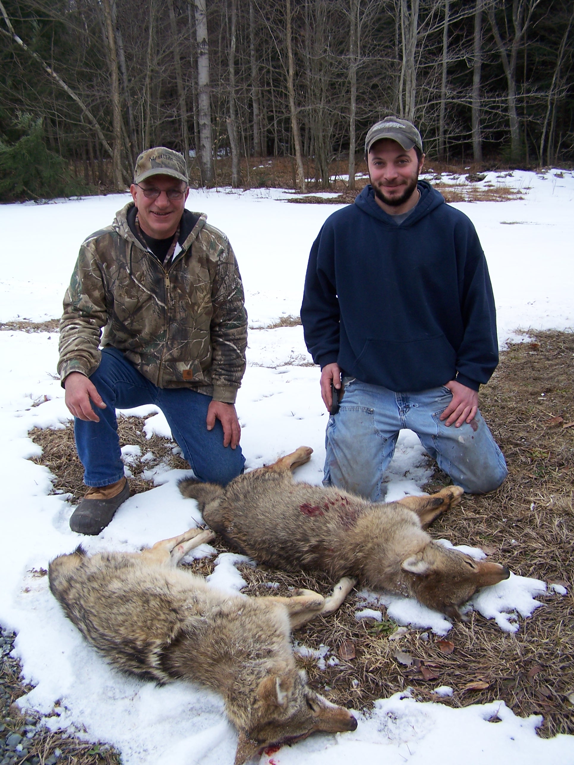 Coyote Hunt 2013