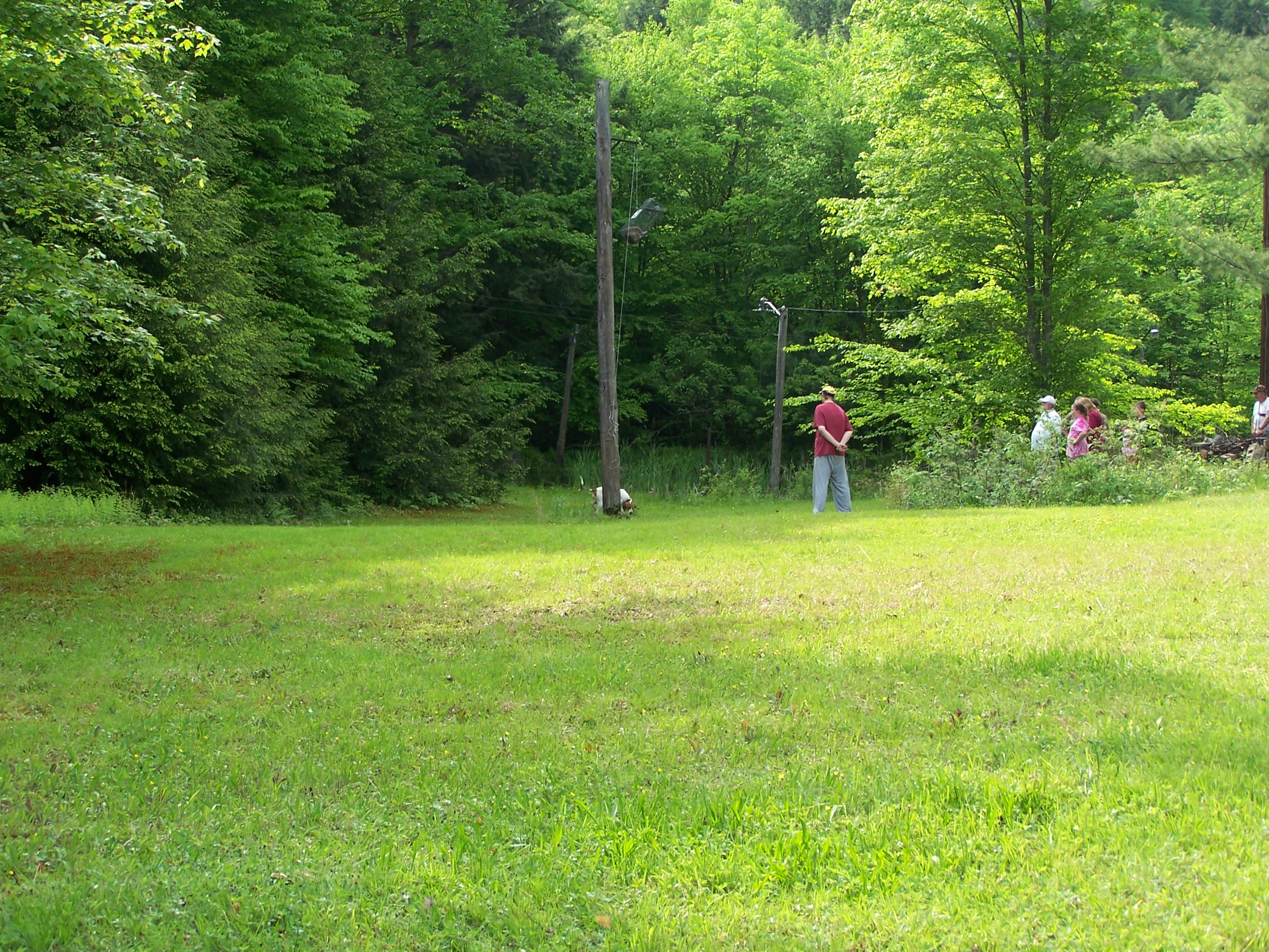 Field Trial