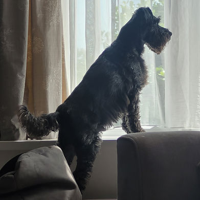 20220617_135400 1_edited_edited.jpg