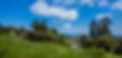 View_Fields&Lake_Vista_WIDE.jpg