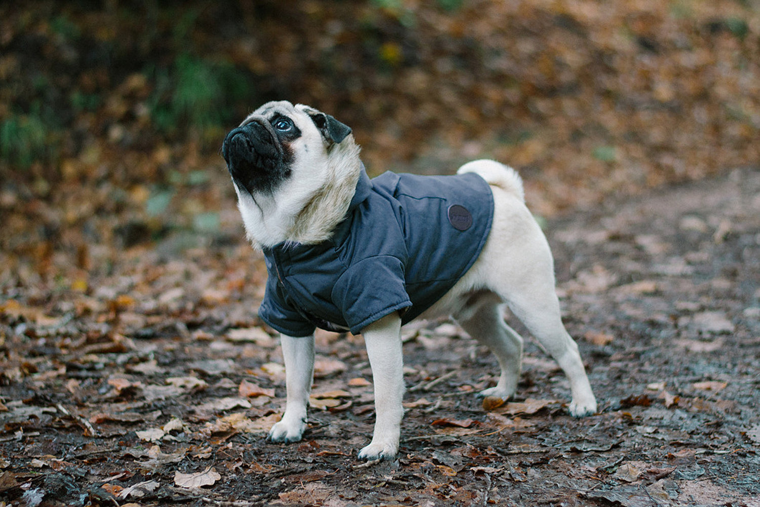 Fur Trim Navy Parka | sotnos