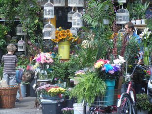 Once upon a time. Streets of Montreal: Lower Bernard Slide Show (Click twice on image)