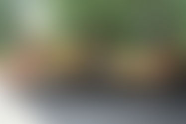 The Conquering Heros of Earnscliffe!