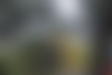 The Strength of Autumn!