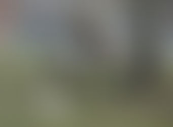 She's sitting in the park. But where is she really?