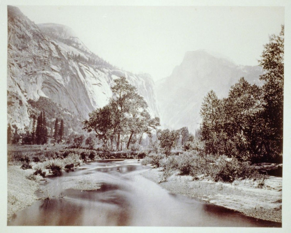A photograph of Yosemite State Park from 1865.
