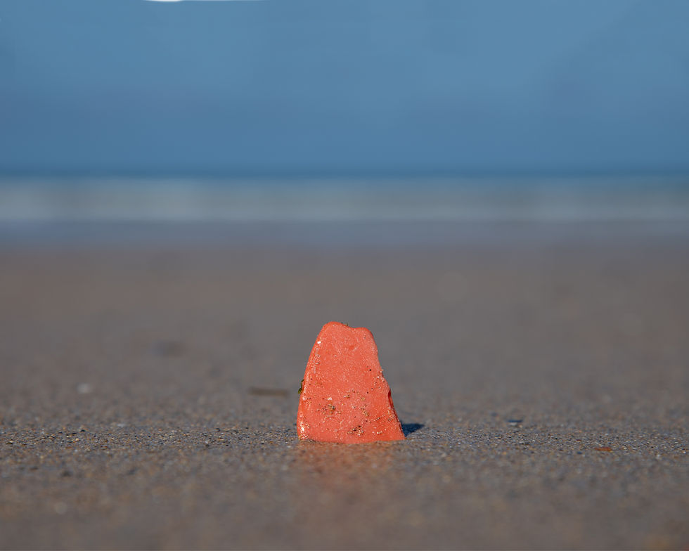 Land and Nature - Final Images