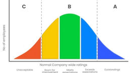 Bell Curve for Workforce Performance Management