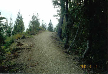 daikuraltusyu.jpg