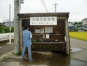 kamikoani-9.jpg