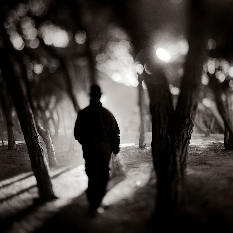 Morning Walk 2000