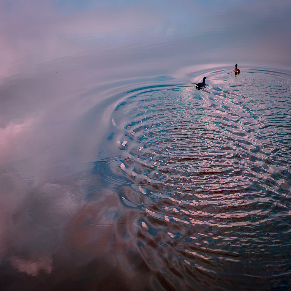 Sky & Water