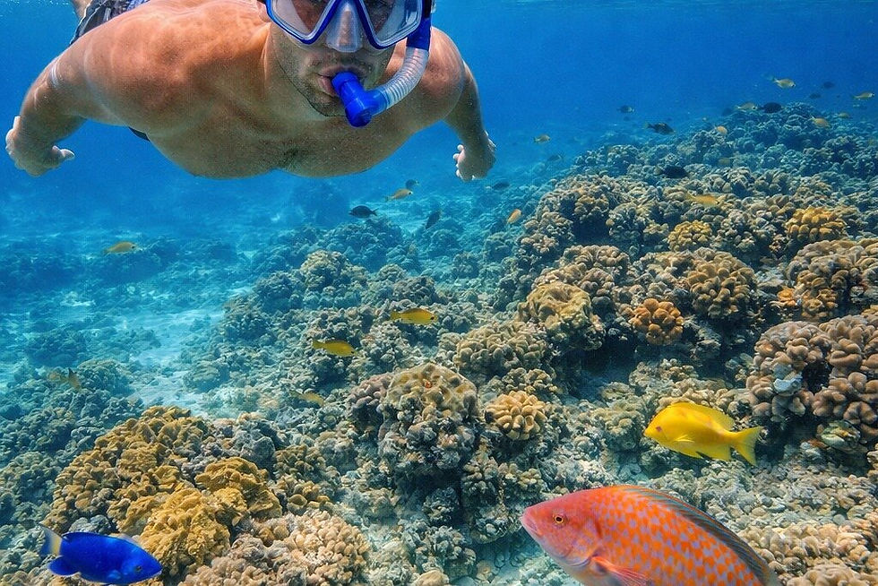 fish2.jpg
