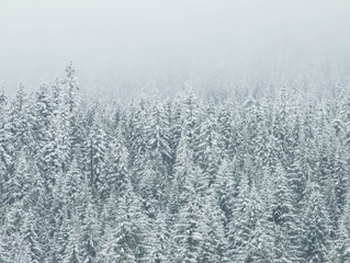 Winter Solstice Message and Meditation