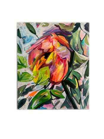 A colourful rose is loosing its petals.